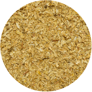 Mary Rose – Figue de Barbarie – Fleur de cactus – 20 g (pétales de fleurs)