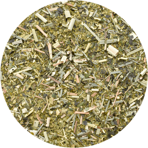 Yerbera - Lata + Soul Mate Organica Frosty Season (organiczna) 0.5kg 