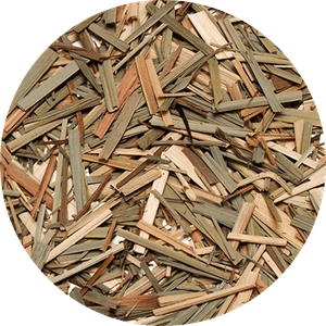 Zitronengras – Bio 10 kg