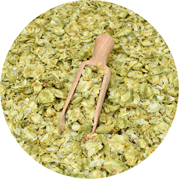 17 x Chmiel Lubelski 1 kg