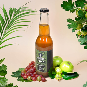 Guarani Drink – Cold Brew Yerba Mate Infusion – Mentha & Boldo 330ml