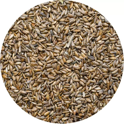 Mariendistel (Samen) 1 kg