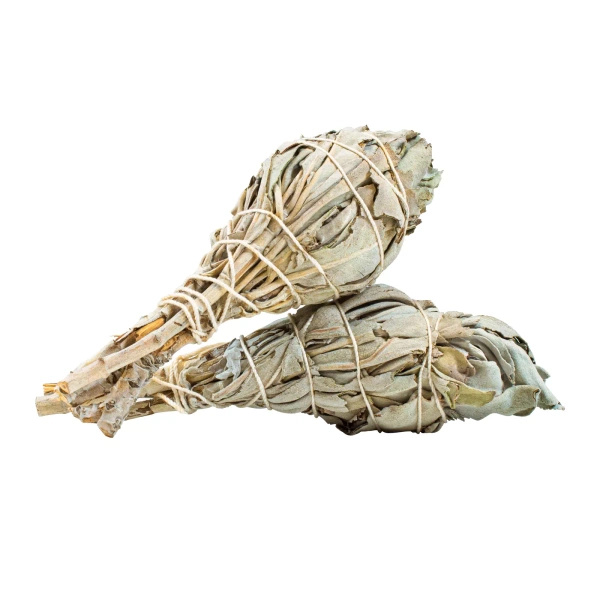 Salvia bianca – Incenso 15-20 g (torcia)