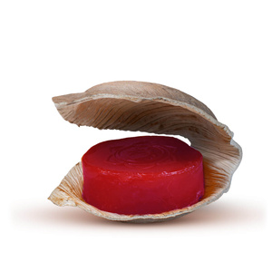 Savon Holy Lama – Chakra Racine