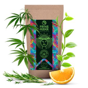 Guayusa Pachamama Cannabis 100 g (organiczna)