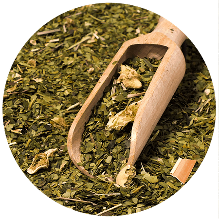 32 x Yerbera - Lata de Verde Mate Cactus de Juarez 0.5kg