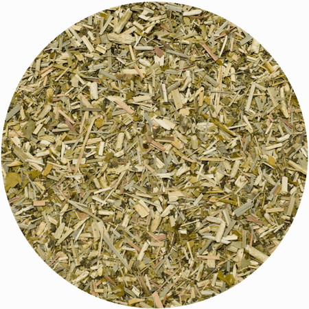 32 x Yerbera - Lattina di El Fuego Menta Limon 0,5 kg