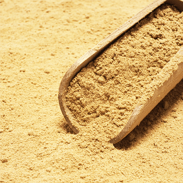 Jengibre bio (molido) 1 kg