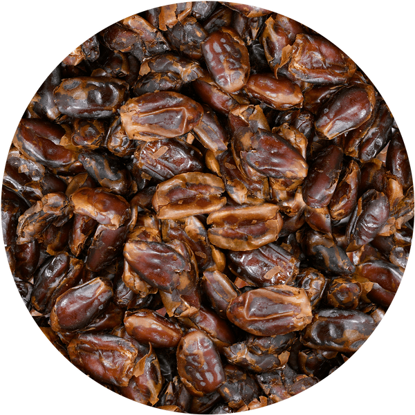 Dattes parthénocarpiques (sans noyau) – 1 kg