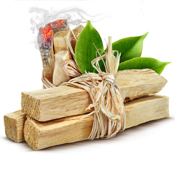 Salvia blanca – Incienso 20-30 g (manojo)