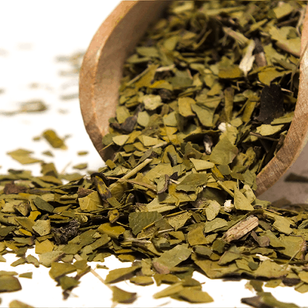 Yerbera – Scatola di latta + Verde Mate Green Organica 0,5 kg