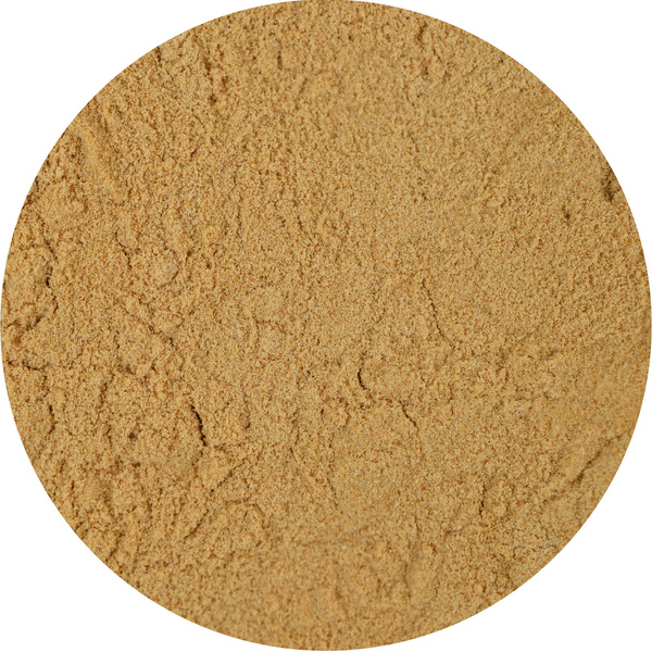 Lion's Mane – Korálovec ježatý 1 kg