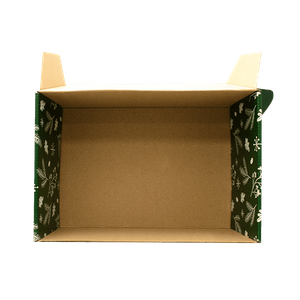 Christmas gift package