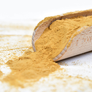 Vivarini – Lion’s Mane – Hydne hérisson 30 g