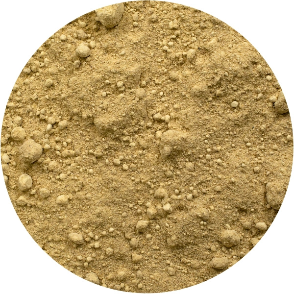 Vivarini – Jengibre (molido) 1 kg