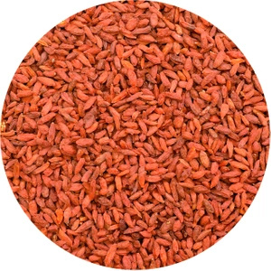 Vivarini – Baies de goji séchées – 1 kg