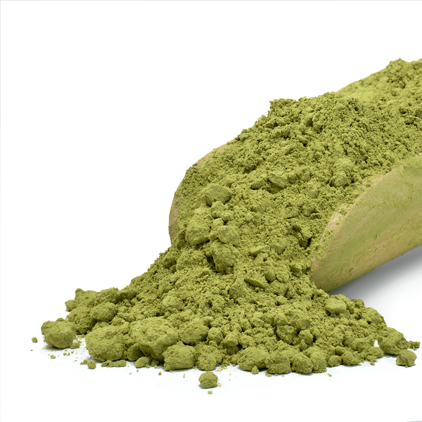 Mary Rose – Chińska Herbata Zielona Matcha 1 kg