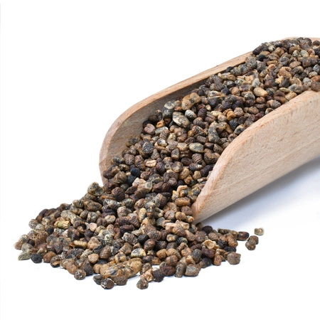 17 x Cardamome (graines décortiquées) 1 kg