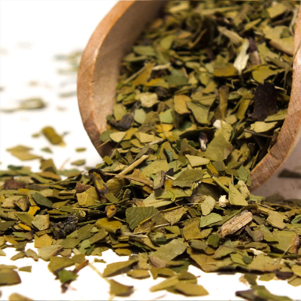 40 x Verde Mate Green Organica 0,4kg