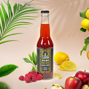Guarani Drink – Studený nálev z Yerba Maté – Sabor Citrus 330 ml