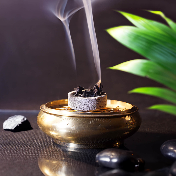 Salvia bianca – Incenso 20-30 g (mazzo)