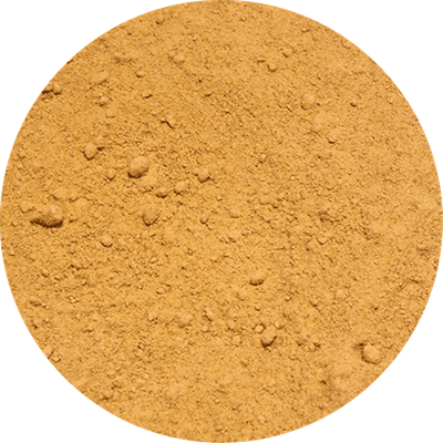 Vivarini – Zázvor (mletý) 50 g