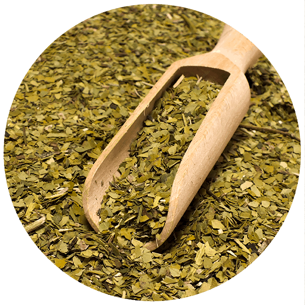 Green Yerba Mate Organica 1 kg