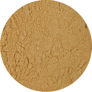 Lion's Mane – Korálovec ježatý 1 kg