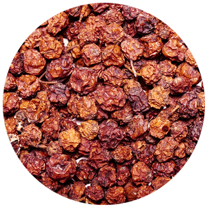 Eberesche - Frucht 1 kg