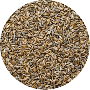 Vivarini – Cardo mariano (semi) 1 kg