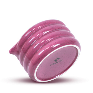 Set zur Zubereitung von Pink Matcha