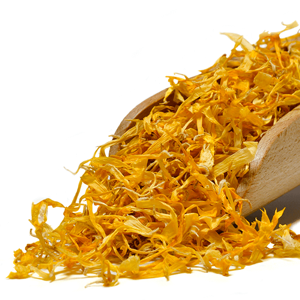 Mary Rose – Pétales de souci – 10 g