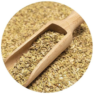  Graines de fenouil (écologique)– 1 kg