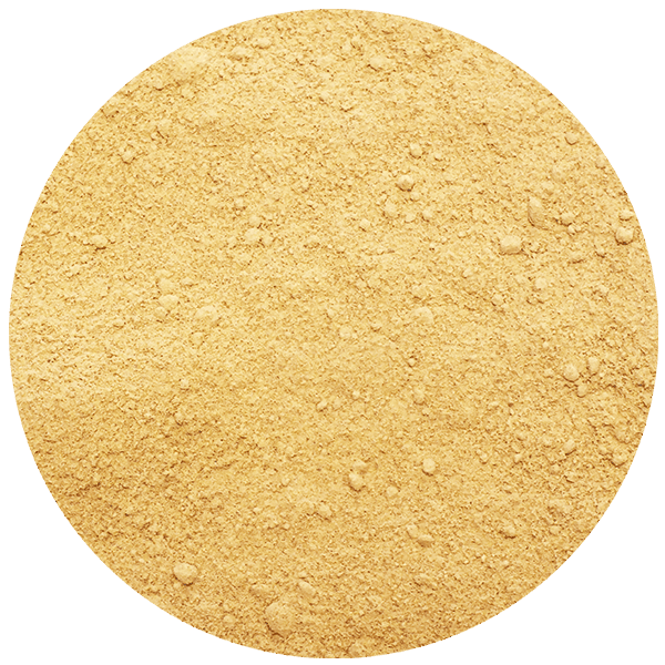 Zenzero biologico (macinato) 1 kg