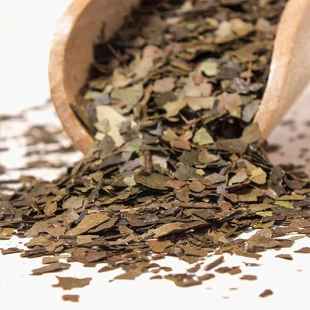 272 x Guayusa Pachamama 1 kg - biologico certificato