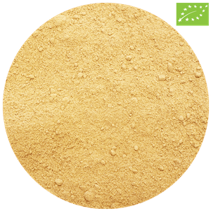 Zenzero biologico (macinato) 1 kg