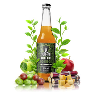 Guarani Drink – Cold Brew Yerba Mate Infusion – Mentha & Boldo 330ml