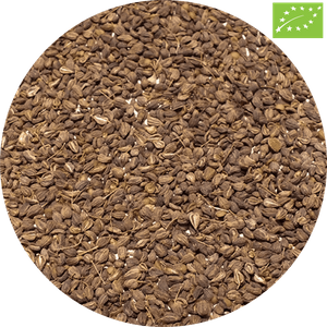 Anyż (ekologiczny) 1 kg