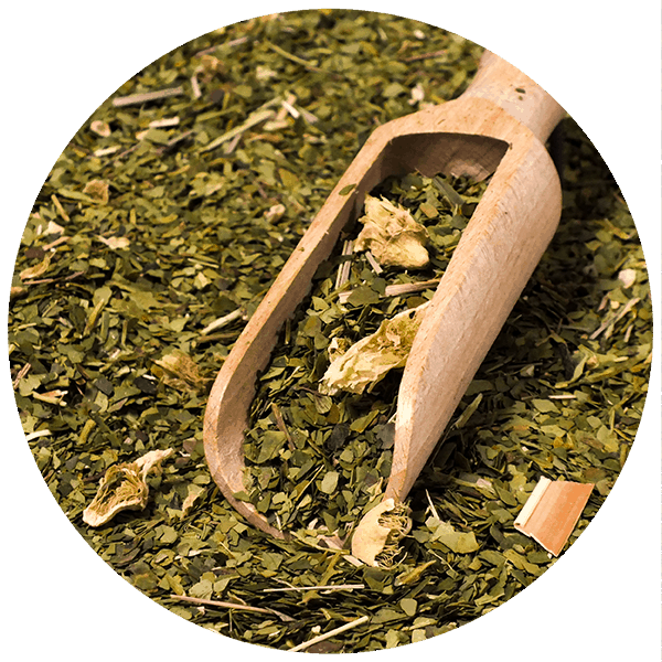 Yerba Mate Verde Cactus SACO 20 kg