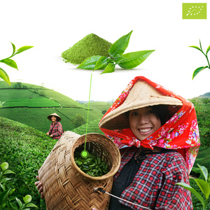 Mary Rose – Té verde Matcha japonés (BIO) Premium 30 g