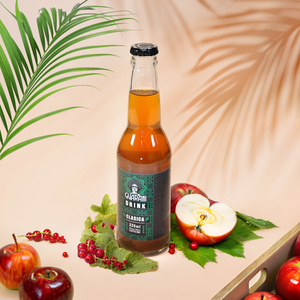 Guarani Drink – Studený nálev z Yerba Maté – Clasica 330 ml