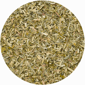 32 x Yerbera - Lattina di El Fuego Menta Limon 0,5 kg